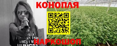 сатива Конаково