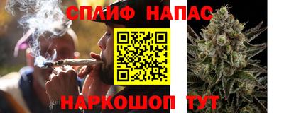 сатива Конаково