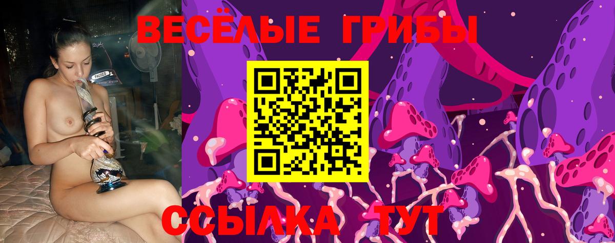 Коряжма  купить   Галлюциногенные грибы ЛСД  Вход с VPN  Галлюциногенные грибы мицелий 
