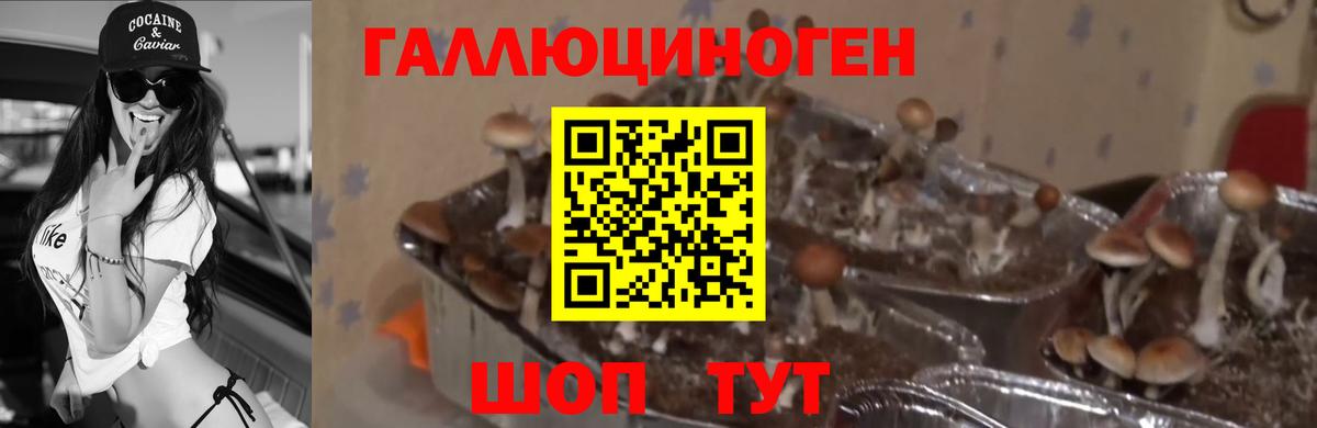 Галлюциногенные грибы GOLDEN TEACHER Коряжма