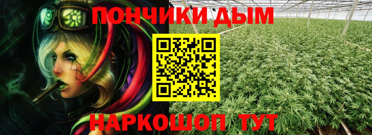 Марихуана сатива  Вход с VPN  Шишки марихуана планчик  Коряжма  МАРИХУАНА White Widow 